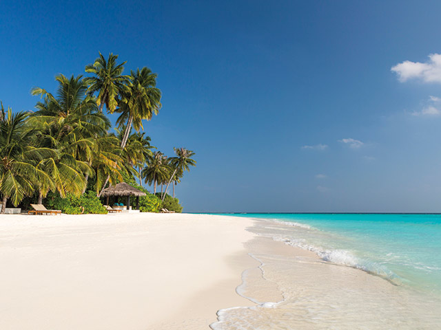 Offerta Maldive Sun Siyam Iru Fushi Atollo Di Noonu 0005