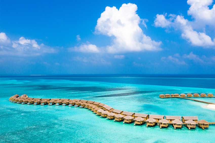 Y&m Maldives1