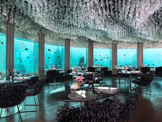 Subsix Underwater Restaurant At Niyama Maldives Gallery