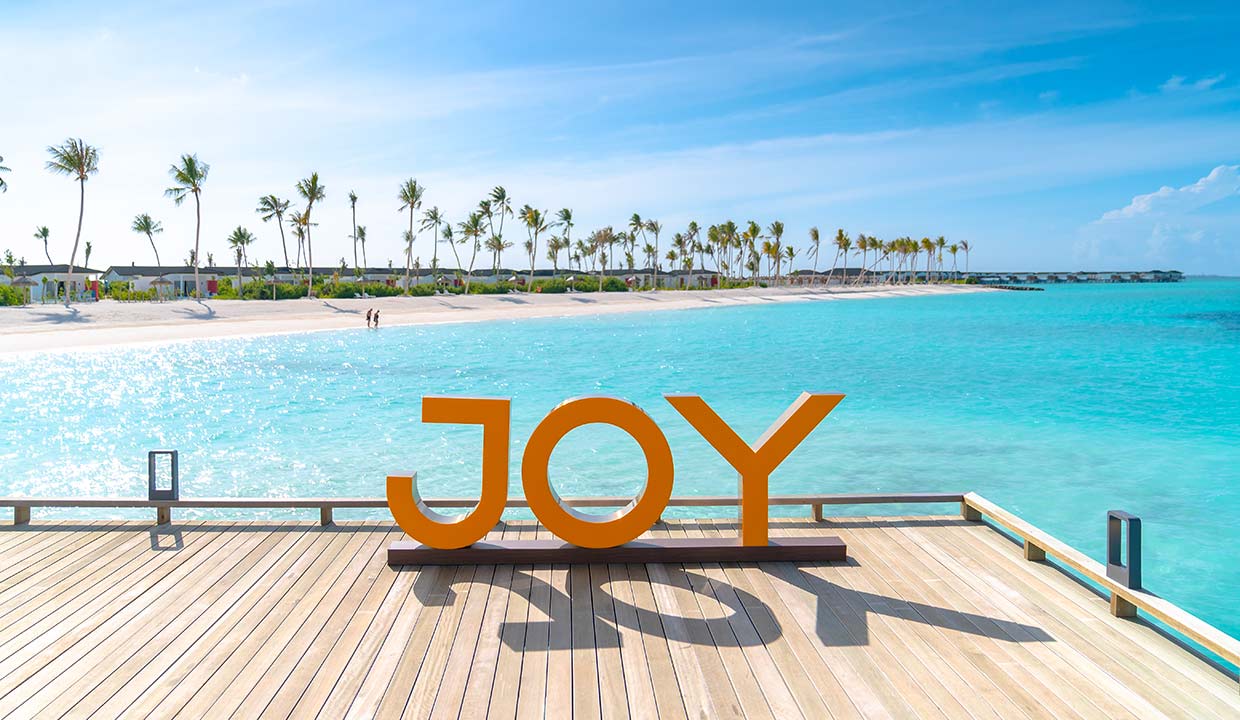 Welcome 7305288 Top Gallery JOY