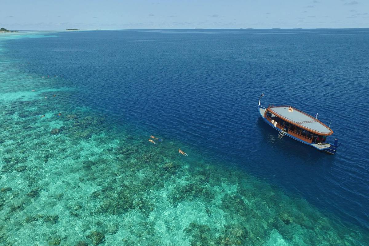 Cocoon Maldives Reef Snorkeling